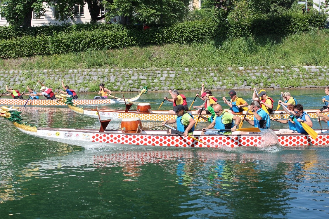 端午节赛龙舟活动在卢布尔雅那举行